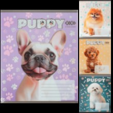 Зошит 12арк.' DOGS' коса ZB.25.1753С KIDS LINE