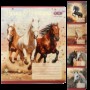 Зошит 24арк.'HORSES' лінія ZB25.1770L KIDS LINE