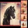 Зошит 24арк.'HORSES' клітинка ZB25.1770K KIDS LINE