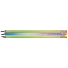 Олівець графітний НВ з гумкою круглий RAINBOW 146C Class