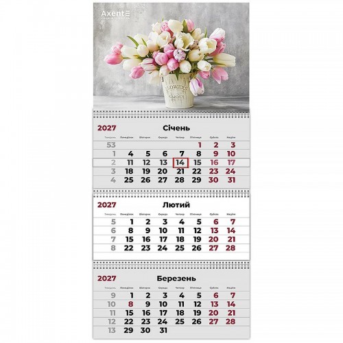 Календар настінний квартальний 2027р.3 пружини Magic Flowers 2 8803-27-26 Axent Календар настінний квартальний 2027р.3 пружини Magic Flowers 2 8803-27-26 Axent